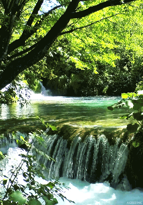 20231016142206front2_0_136873_Fn5KAfoHgqOS0Ebft-UjUysU3wgr.GIF