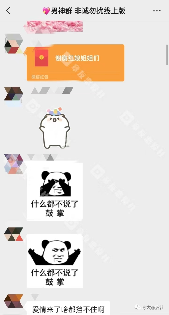 190056nb31d3v36g913g16.png