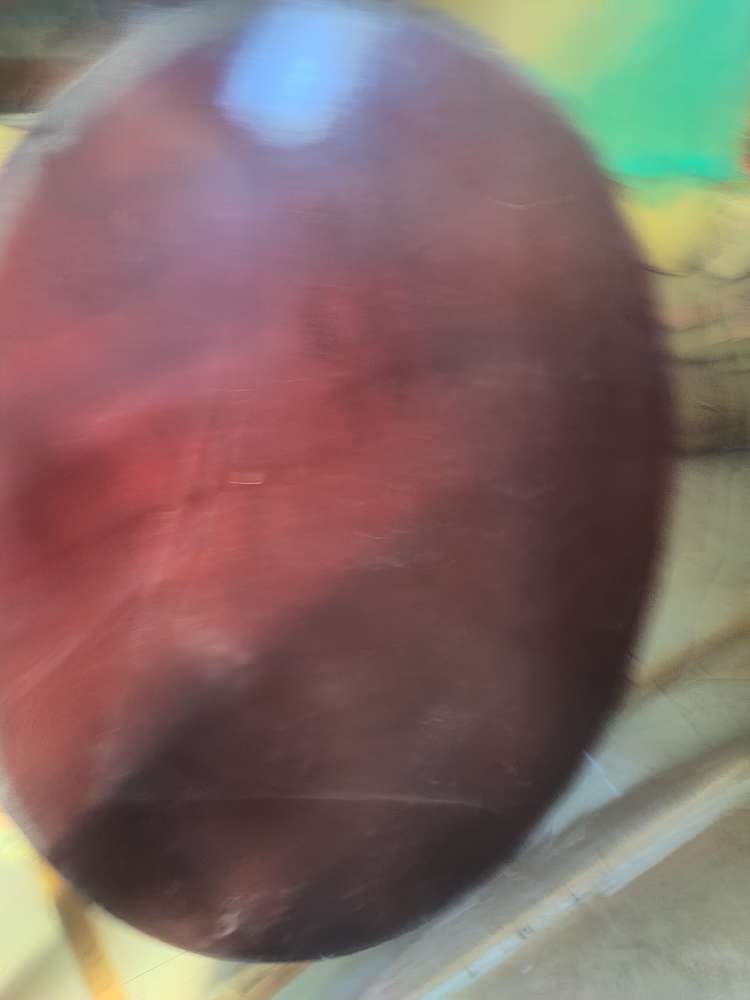 20231025210937front2_0_75742_Fv_H6KHmE4eknhfeeu5dR4A9I6ux.jpg