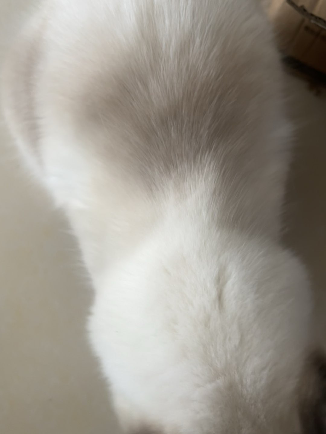 20231026105011front1_0_241425_FgQZaSYRnCPKrLxJSSrxeKNSdLLe.jpg