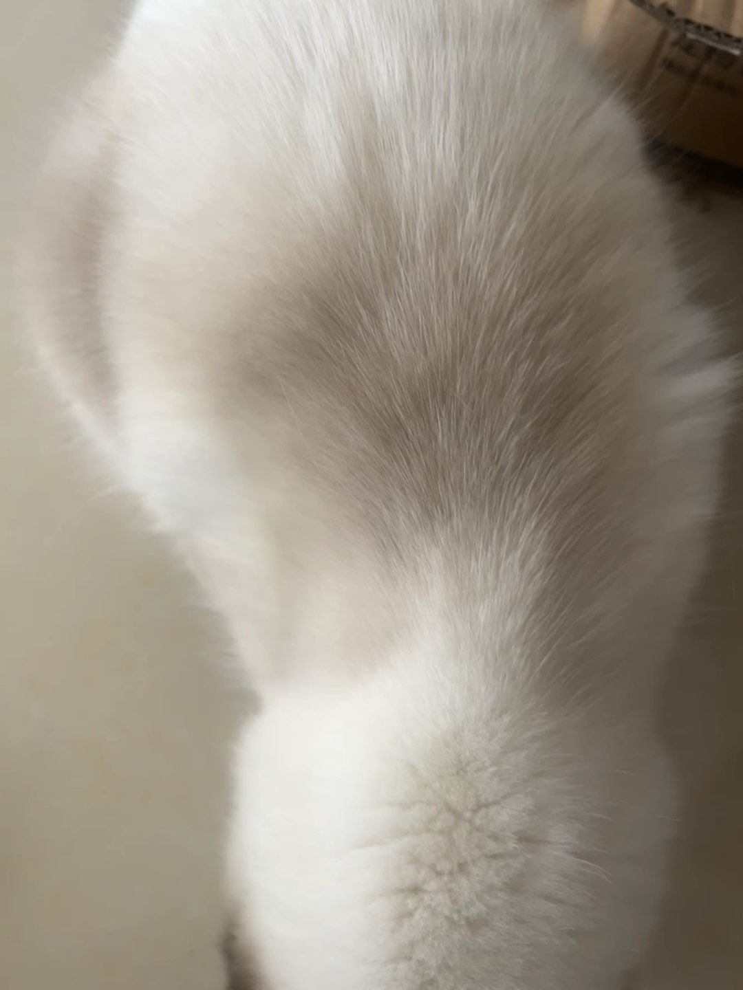 20231027102643front1_0_241425_Fh0KbXlJN1QShtJ9gSy8U8iyiype.jpg
