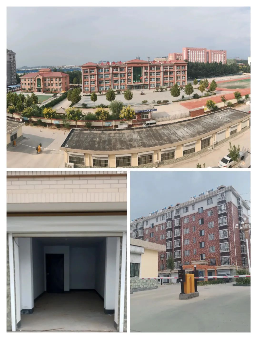 160632apye5cpp59qts1y9.jpeg