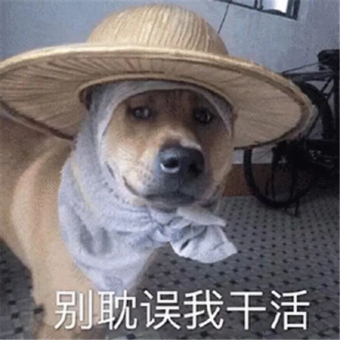 143539ue7s7p3569cj9u78.jpeg