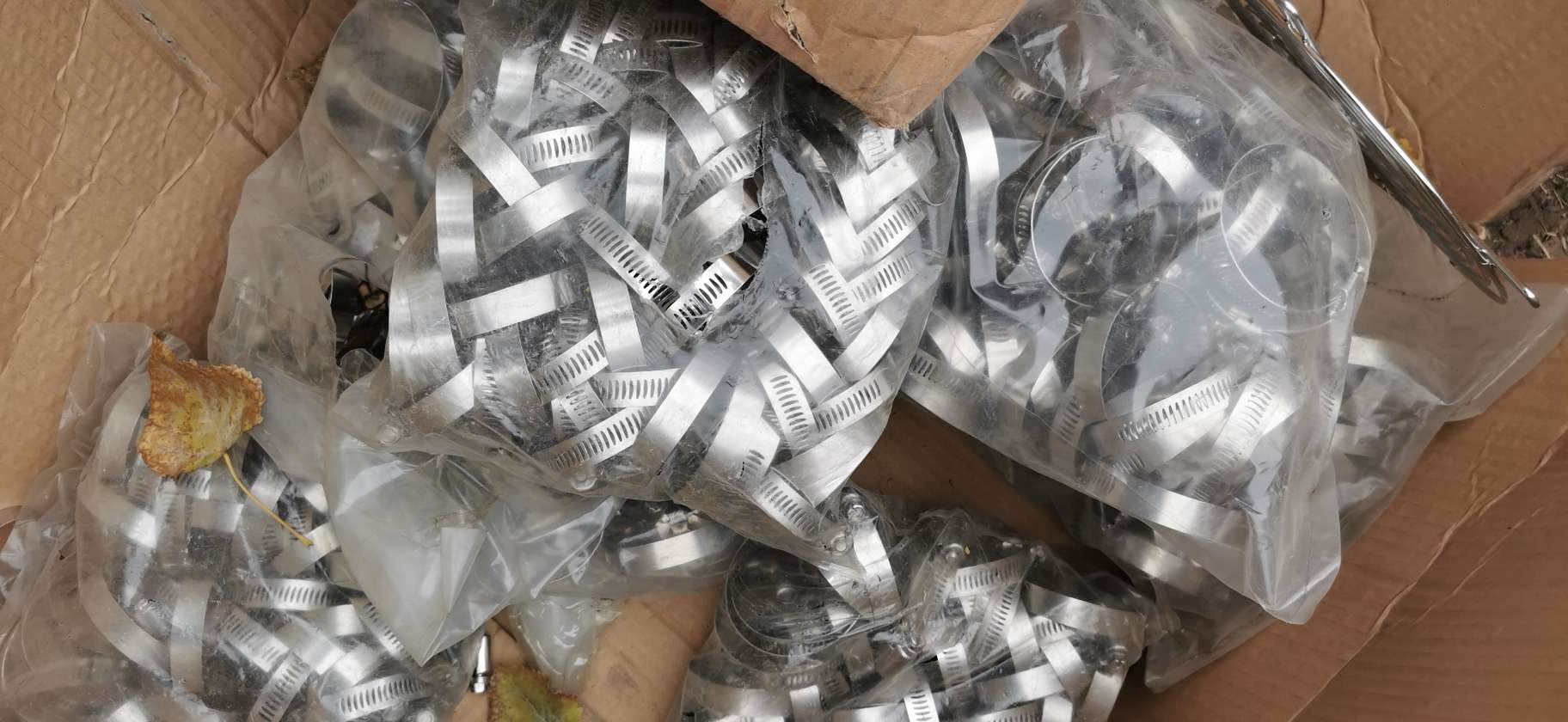 20231103080825front2_0_167572_Fig3F_s9Slx3PIsTKhDoj2ngFdxJ.jpg