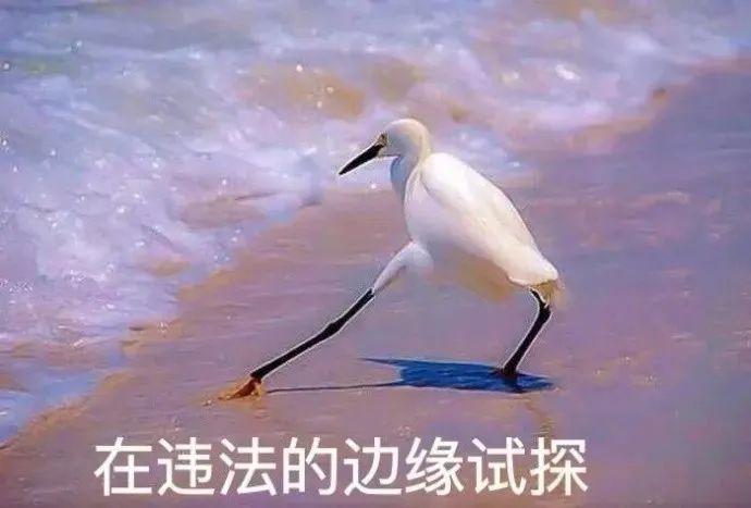 111811ukmwmikiifemk3en.jpeg