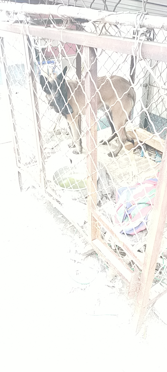20231109151914front2_0_162843_FmurA7ks_HXX65jXolWcJg9A2Vjw.png