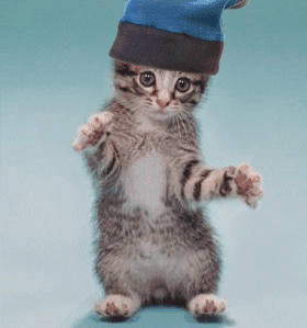 20231115092205front2_0_64781_FubZdwOVz1q0GuDNqEmrhxfpzwKF.gif