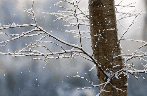 141155tec10u5gz4yugvwu.gif