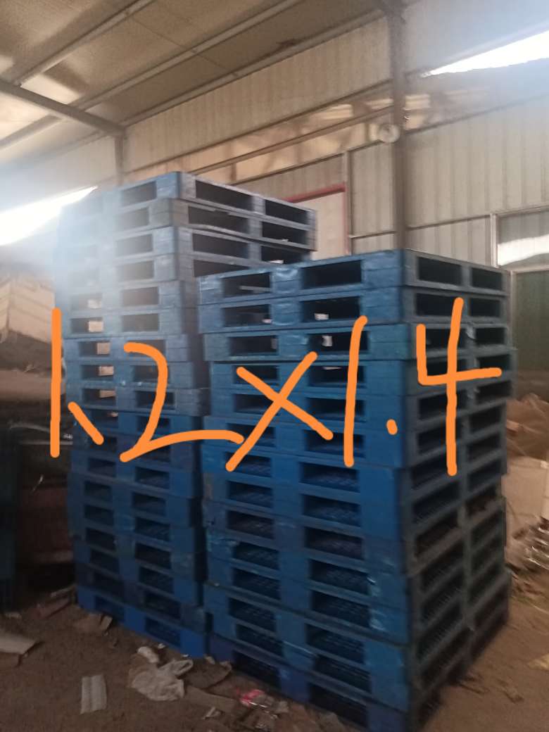 20231209071556front2_0_14365_FlorADV80TK5KPHK9BxQQBbAo6yn.jpg