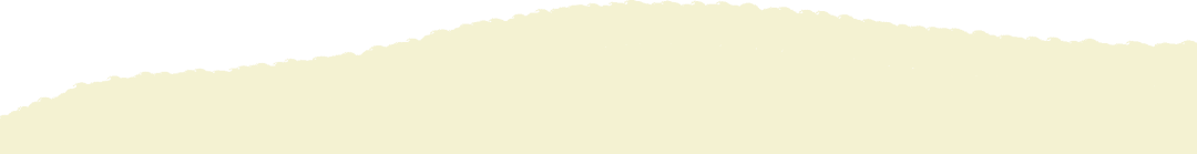 162244bo56gptjepjfptrs.png