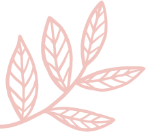 095118fbenzd4z42gx2mzv.png