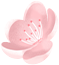 095118fwejwcwjuc1ucsl7.png