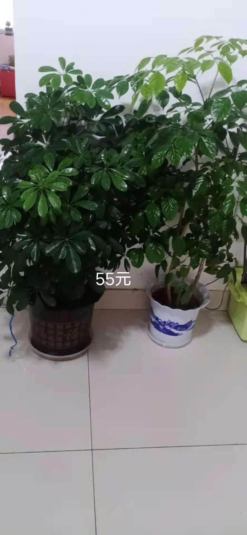 20231224075331front2_0_191920_FjhE4c6x55Tt81ZYQ_90zzq9FWMd.jpg