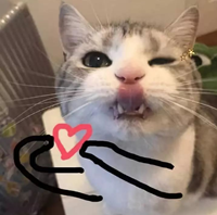 微信截图_20231229095440_副本.png