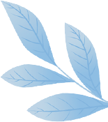 111349jui1i61x8igfo8eg.png
