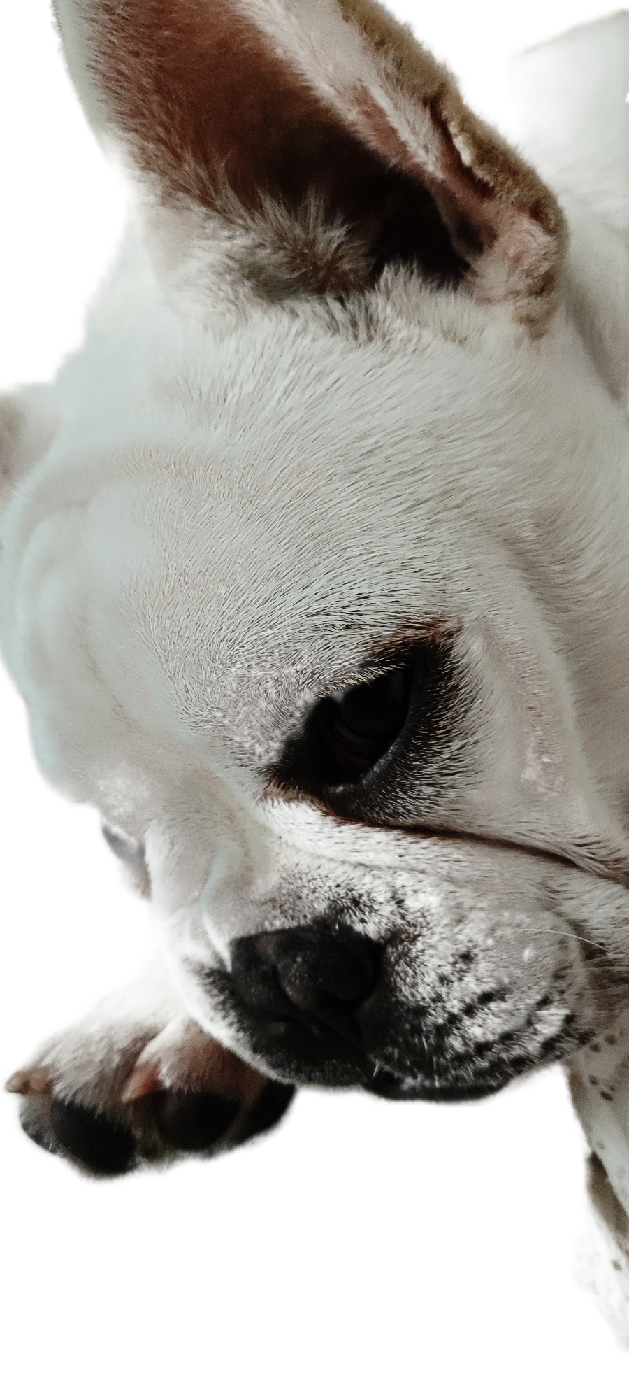 20240102101410front2_0_169308_Fg96tA8MYshz5gwOPMyDmKLRIwC5.png