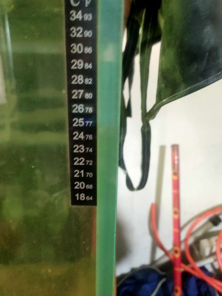 20240103135720front2_0_89456_Fo6SJPOblVKypPGEFqEQh6PJogie.jpg