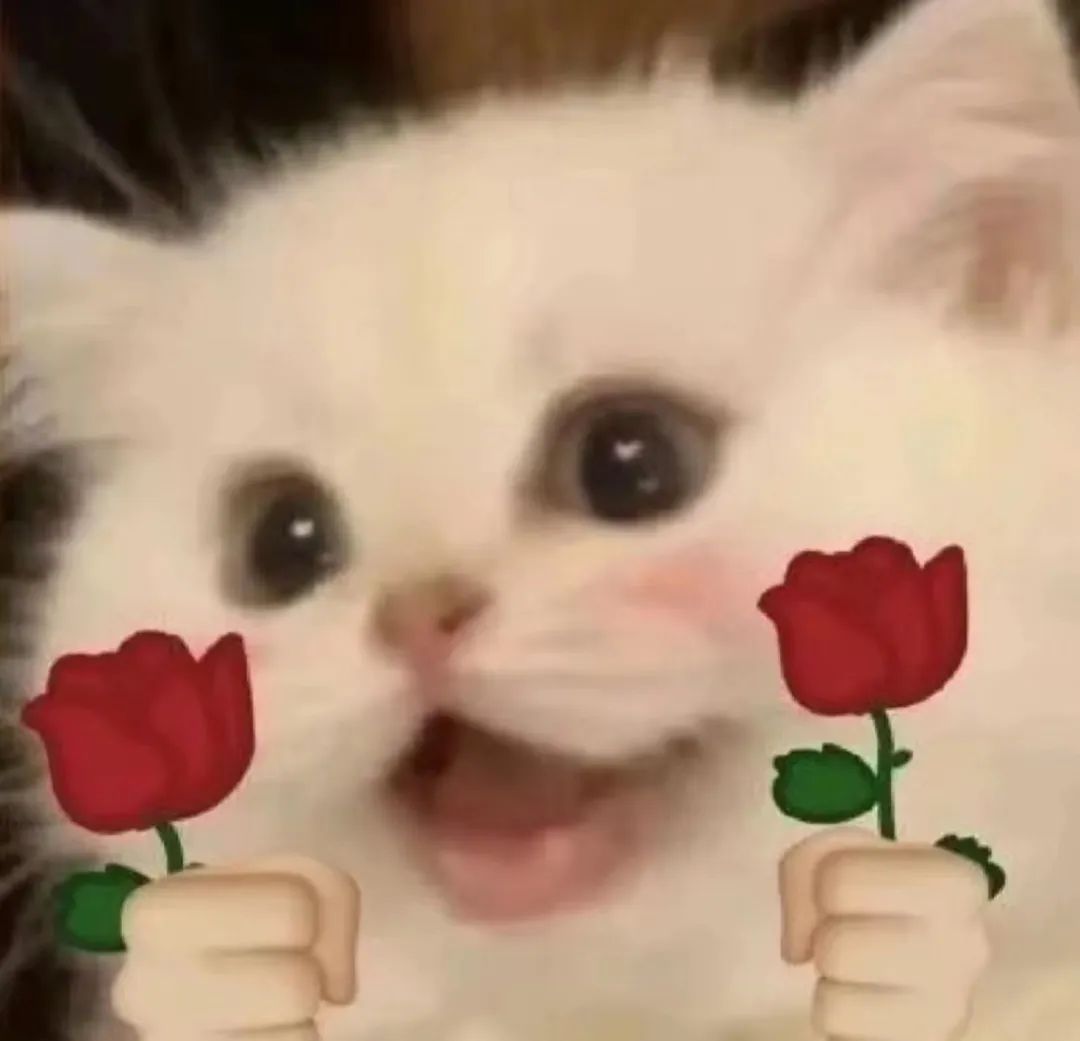 101147qskz99kyf9folpzk.jpeg