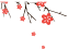 145652exibfxfijr5685xf.png