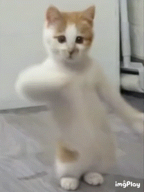 20240130091932front2_0_250387_FvyMV8z64r_NnwpVNQFvCXgDFkNC.gif
