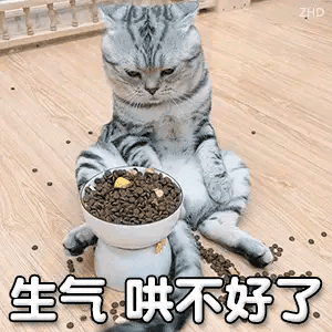 20240202161512front2_0_56823_FuwEukEq44UNxDsHx0ngltQF4bjK.gif