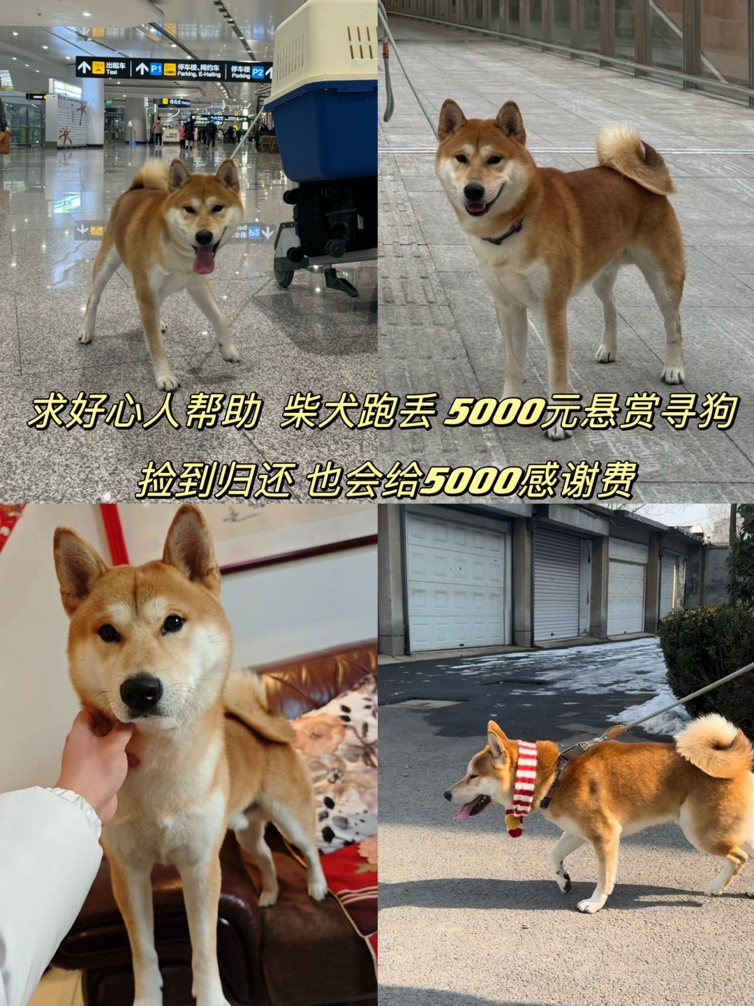 20240215174405front1_0_250985_FnKO0wVv_REQ9_lUuJhAS1X2Cgo7.jpg
