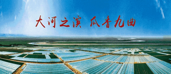 微信图片_20240228084506_6.gif