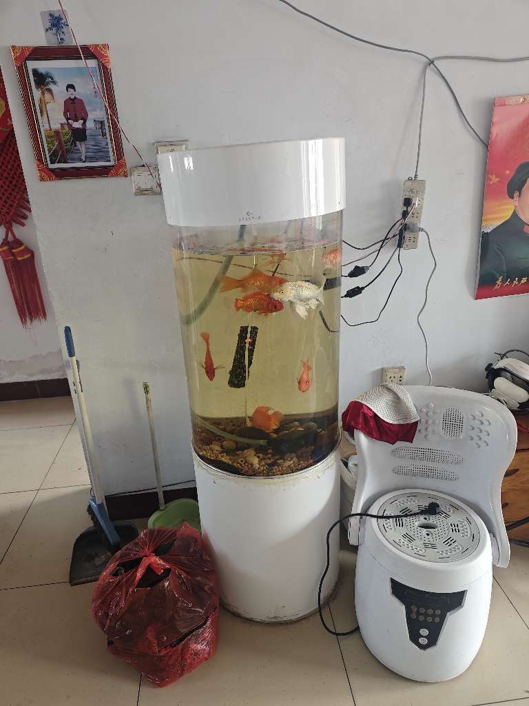 20240306130735front2_0_227116_FiUQHKuOH8vmiuaEEaDK0hWYjSM8.jpg