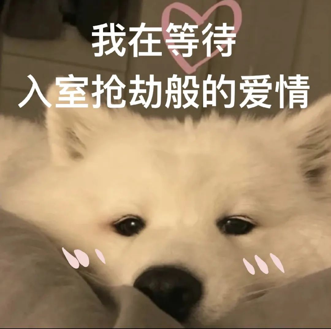 094153saky1jzdcr0ykrxe.jpeg