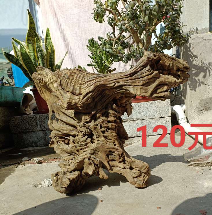 20240310214703front2_0_94699_FqC8KcDfyIeDfVVYqNhU7_ypFpro.jpg
