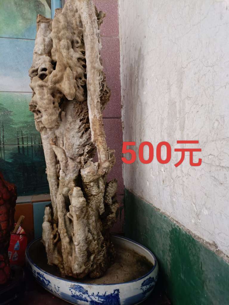 20240310214938front2_0_94699_FtqIOtA6Pg75LS7_YZSBahKeatt_.jpg