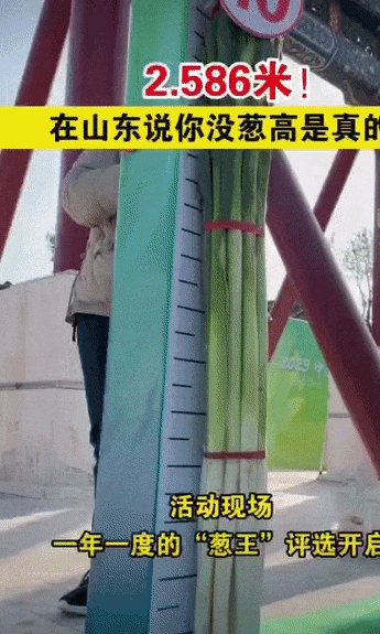 095305a43e5c2ox23jzpwm.gif