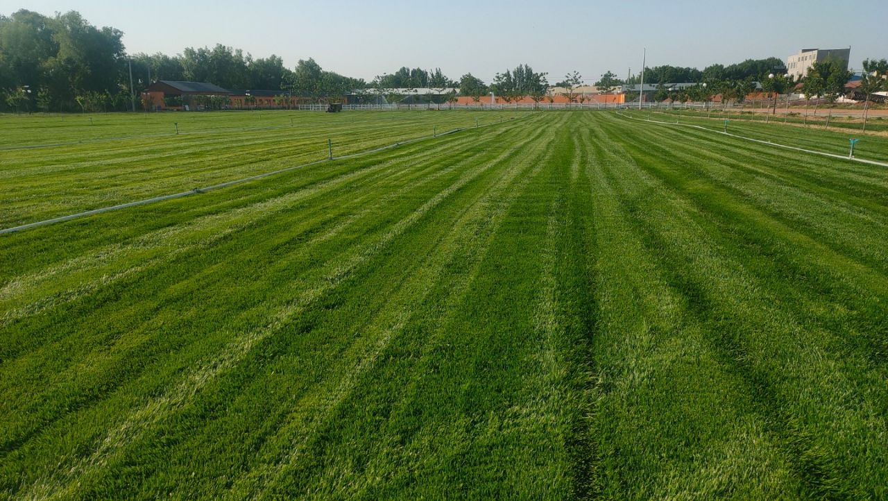 20240320153917front2_0_252690_FucFaYsmxKVfC_7YCU94w01Ep72k.jpg
