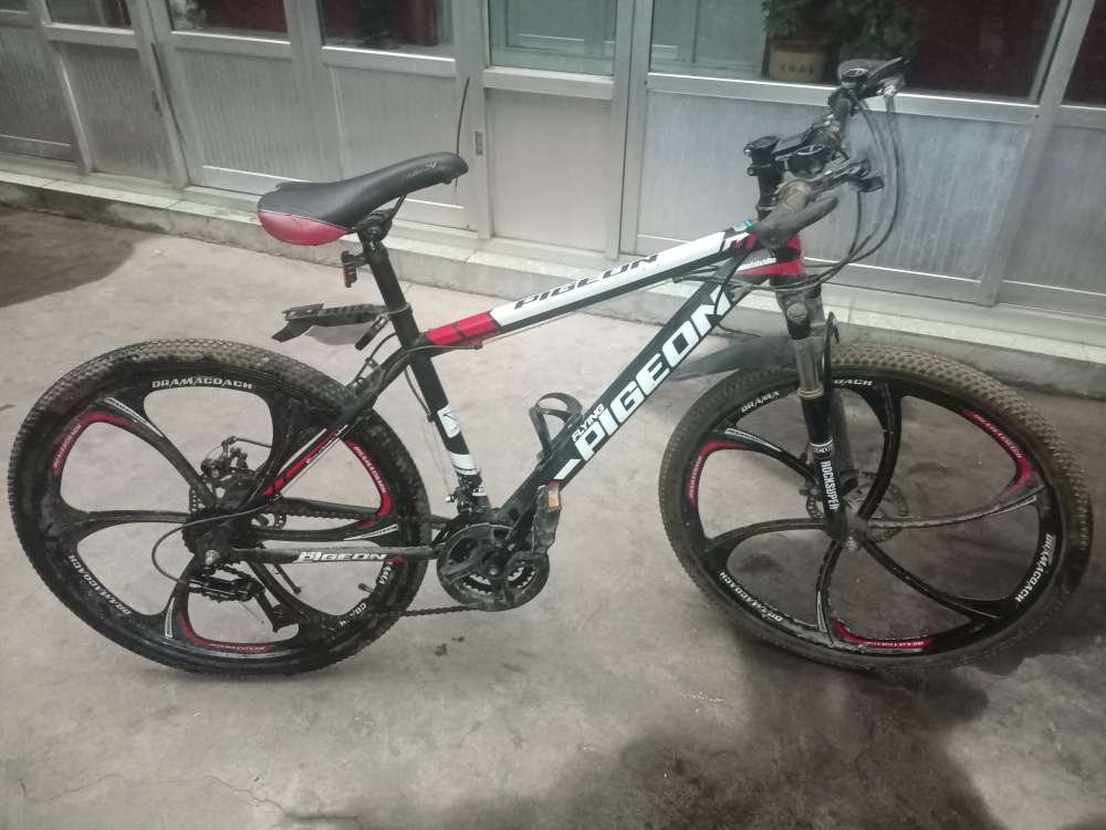 20240326083535front2_0_105525_Ft9YZCK9LSSDPHdvgeb3WwqP0yXE.jpg