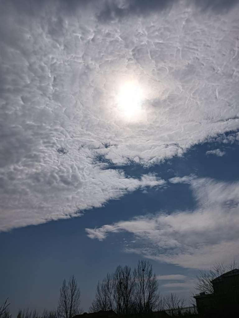 20240327151323front2_0_48977_FsxpgHpoxL3HtSUSS6dIBANo1moR.jpg