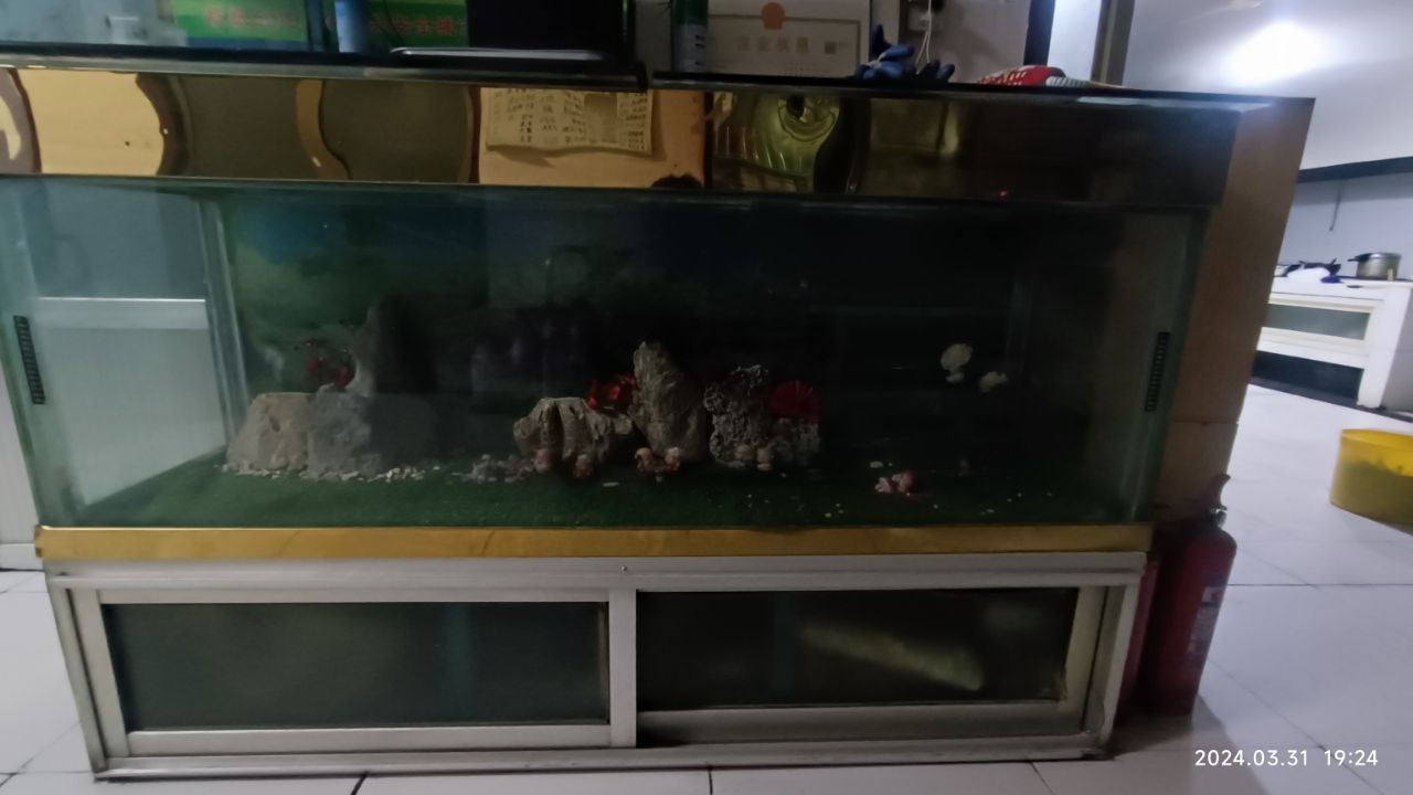 20240331192426front2_0_2130_Fhf9t1PXy_p6d2QcKUZoLzqJd8ug.jpg