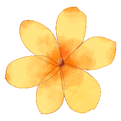 162359lk4trn5mzcdzlwtp.gif