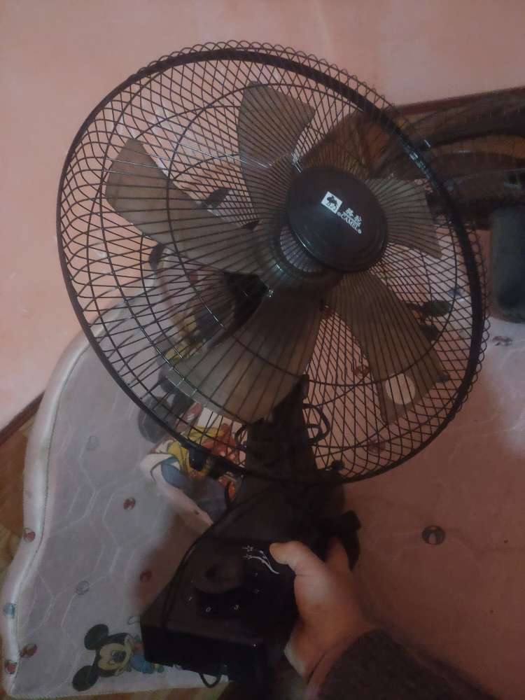 20240410074229front2_0_63172_FhjseaYwbYiAqFNR7kbrJ8JgLPaC.jpg