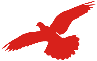 171308fsxg3wsbr203mbwr.png