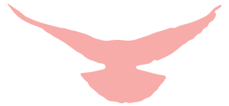 171308ho14omp6pmjz961p.png