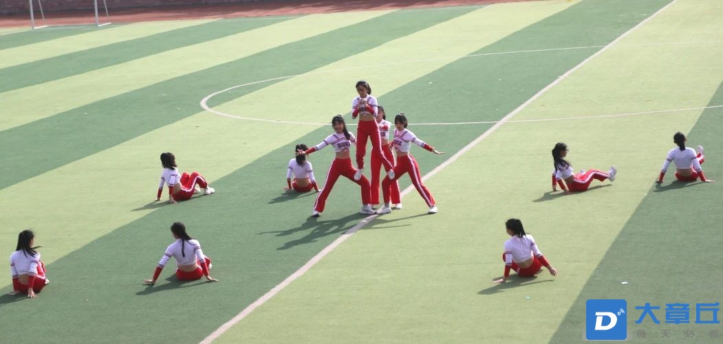 z9.jpg