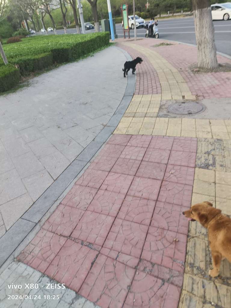 20240424222116front2_0_254142_Fv8WtLQmFKU-ZUY8fZ2llekKuzFt.jpg