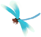 144149h7etnzinht4bbsbe.png