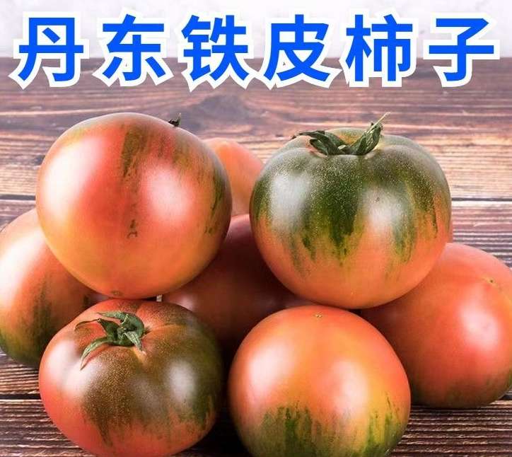 20240516091847front2_0_248650_FofzHe48776ofMcEqqxg0xWfdDkK.jpg