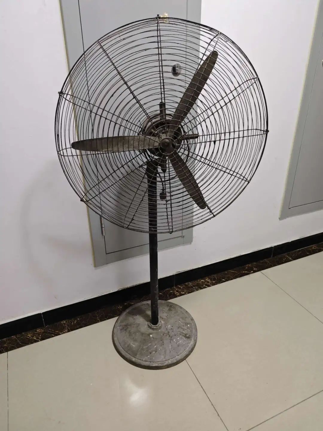 153133wiufya00fss33p4d.jpeg