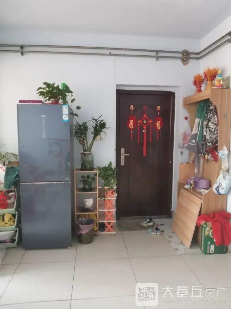 091201b9xu1kj9z2mxskc5.jpeg