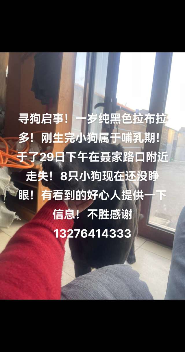 20240531230333front2_0_54895_FqfOw42bg9eH4M51HWPa5Xxl5BQT.jpg