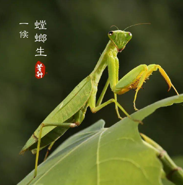 104100osylkpjpbb8jpssl.png