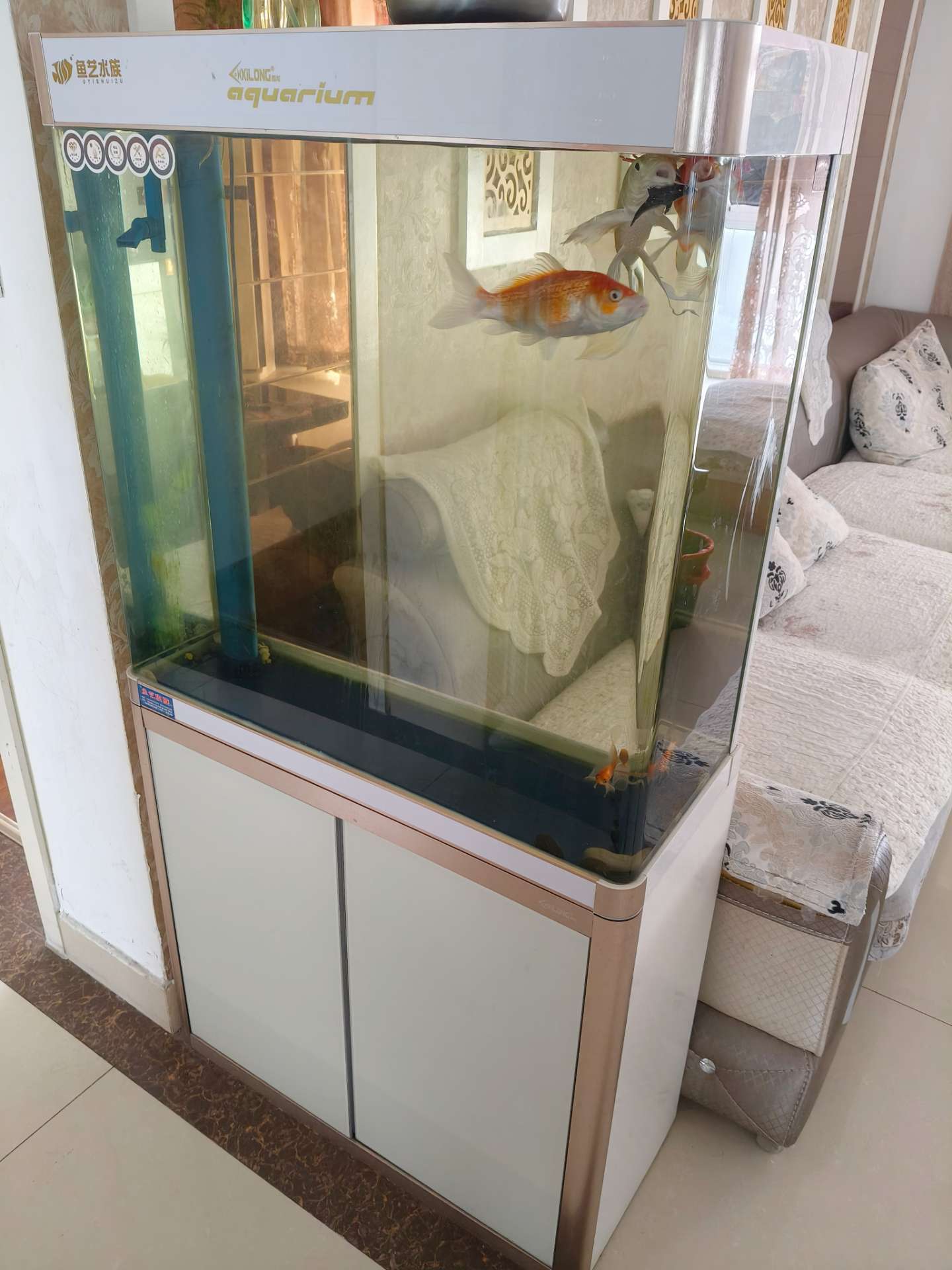 微信图片_20240604143517.jpg