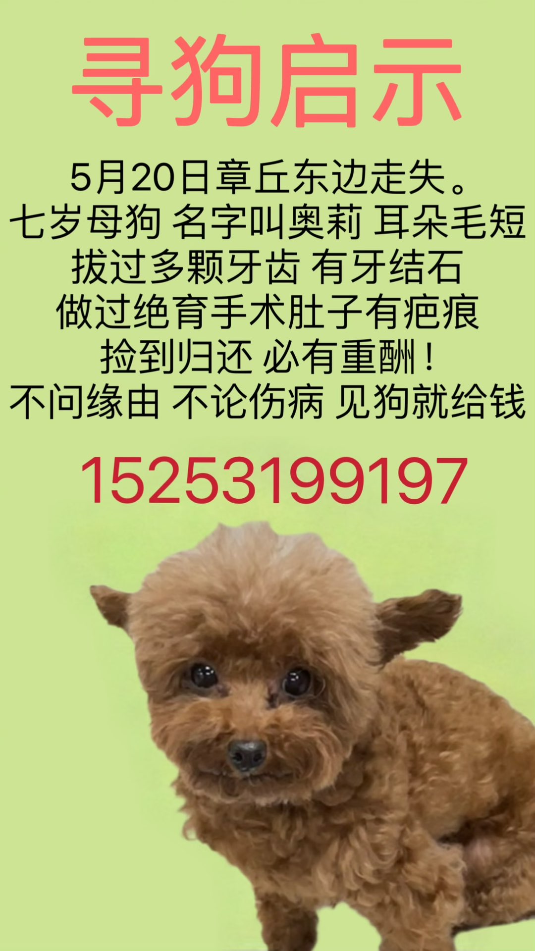 20240605030846front1_0_257166_Fth_rDFI3L8vo1AvZ1h3vCXRlxlr.jpg